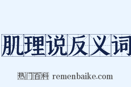 肌理说反义词是什么意思的图片